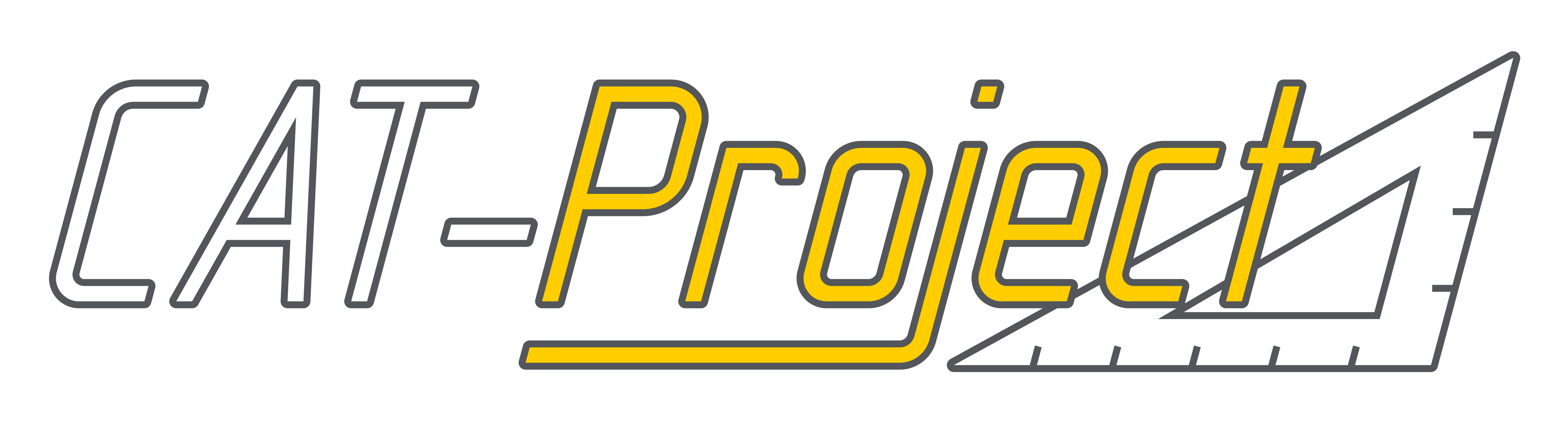 CAT-Project PRZEMYSŁAW LEWIŃSKI Logo